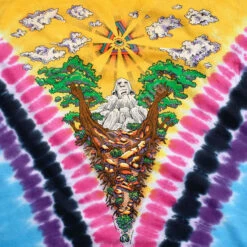 Psychedelia Tie-Dye T-Shirt -MLB Shop 11466b artwork 73220.1675269246