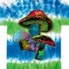 Psychedelic Shrooms Tie-Dye T-Shirt -MLB Shop 11753f 64810.1569264465