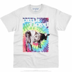Pink Floyd Fat Old Sun White T-Shirt -MLB Shop 21836f 50571.1586295312