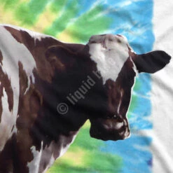 Pink Floyd Fat Old Sun White T-Shirt -MLB Shop 21836f artwork2 20451.1590010708