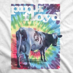Pink Floyd Fat Old Sun White T-Shirt -MLB Shop 21836f artwork 64682.1588281133
