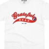 Ballpark Red T-Shirt -MLB Shop GD0058SSWHTf 18885.1680198486