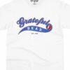 Ballpark Blue T-Shirt -MLB Shop GD0064SSWHTf 75204.1680198140