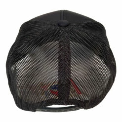 Dancin Bears Black Hat 9 Dancin Bears Black Hat -MLB Shop RET00305b 60404.1636159063