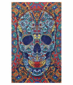 MLB Shop 11 3D Skull Tapestry
