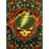 GD Scarlet Fire SYF 3D Tapestry -MLB Shop RETGDSF3DT 74416.1649771089