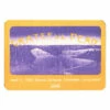 Grateful Dead 1982 04-11 Backstage Pass 2 Grateful Dead 1982 04-11 Backstage Pass -MLB Shop VLT0093 27963.1569264863
