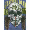 Grateful Dead 1994 07-01 Backstage Pass 1 Grateful Dead 1994 07-01 Backstage Pass -MLB Shop VLT0586 56614.1569264873